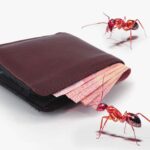 Como evitar los gastos hormigas